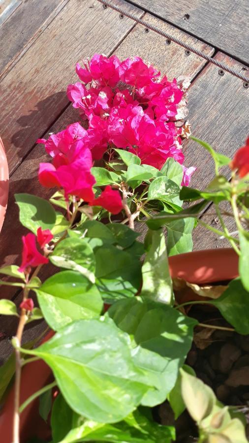 Manava Tahara'A Home Stay Mahina 외부 사진