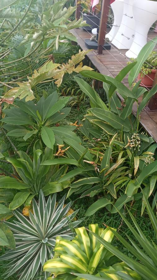 Manava Tahara'A Home Stay Mahina 외부 사진